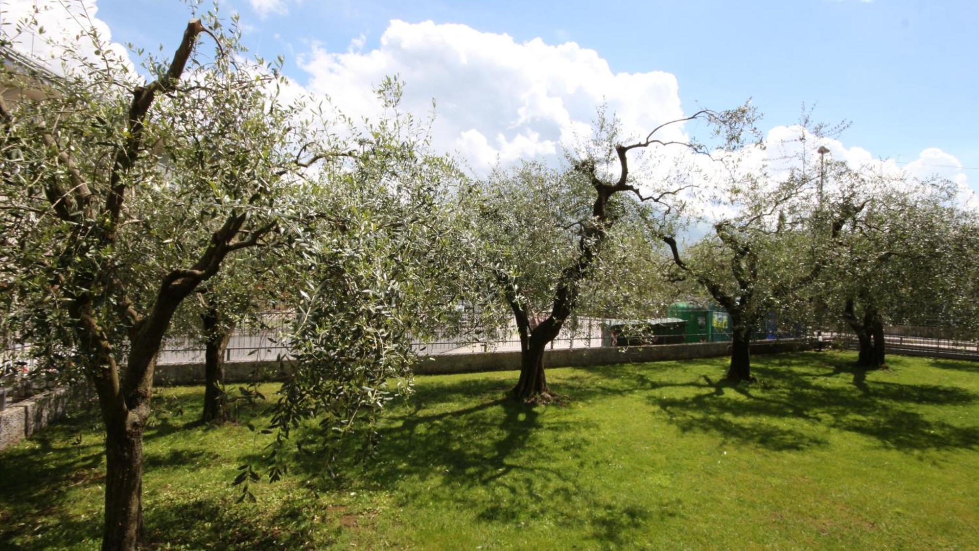 B&B Casa Wanda Since 1999 Riva del Garda Quarto foto